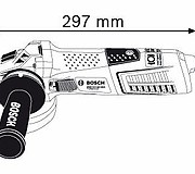 GWS 12-125 CIEX Professional